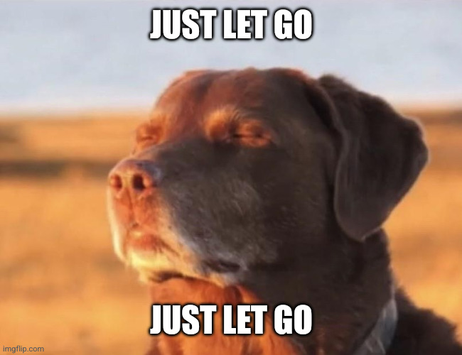 Blissful dog | Just let go Just let go | image tagged in blissful dog | made w/ Imgflip meme maker