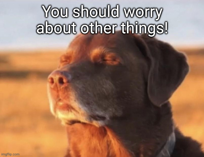 Blissful dog | You should worry about other things! | image tagged in blissful dog | made w/ Imgflip meme maker