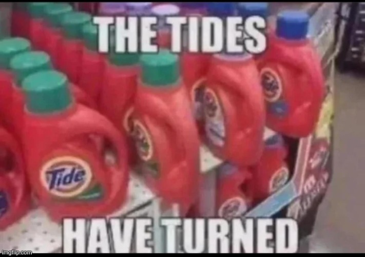 image tagged in meme-dump-v0-hpoztckcsg3g1 jpeg | made w/ Imgflip meme maker