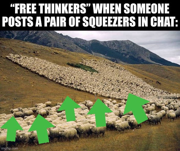 Upvote instincts | “Free thinkers” when someone posts a pair of squeezers in chat: | image tagged in flock of sheep,squeezers,free thinkers,funny,sheeple,sheep | made w/ Imgflip meme maker