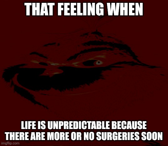 Blue Grinch | THAT FEELING WHEN; LIFE IS UNPREDICTABLE BECAUSE THERE ARE MORE OR NO SURGERIES SOON | made w/ Imgflip meme maker
