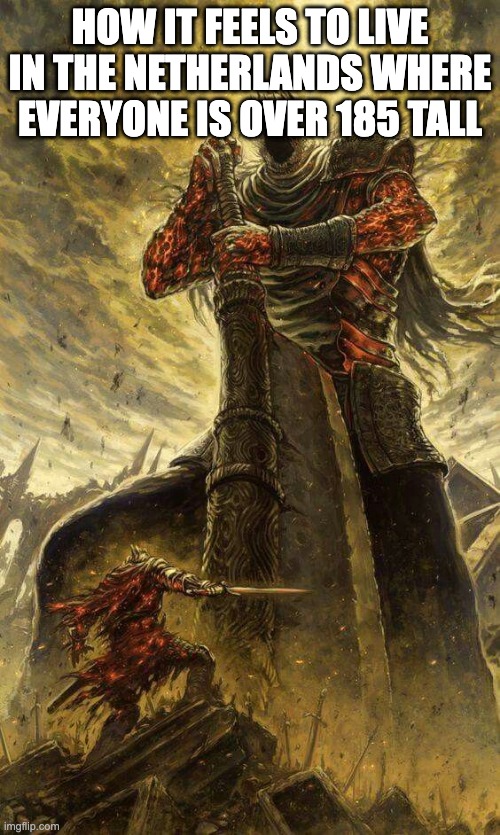 Man vs giant aah | How it feels to Live in the netherlands where everyone is over 185 tall | image tagged in david goliat,giant vs man,giant,tall,dutch,netherlands | made w/ Imgflip meme maker