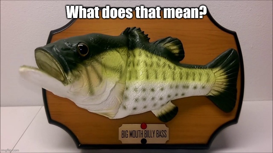 What does that mean? | made w/ Imgflip meme maker