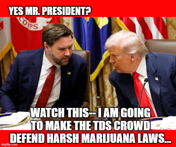 vance and trump talking | yes Mr. President? Watch this-- I am going to make the TDS crowd defend harsh marijuana laws... | image tagged in vance and trump talking | made w/ Imgflip meme maker