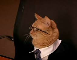 High Quality Cat lawyer Blank Meme Template