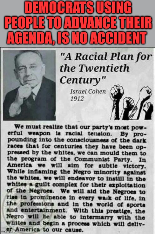 Democrats long term agenda | Democrats using people to advance their agenda, is no accident | image tagged in democrat plan,democrats,democratic socialism,puppet | made w/ Imgflip meme maker