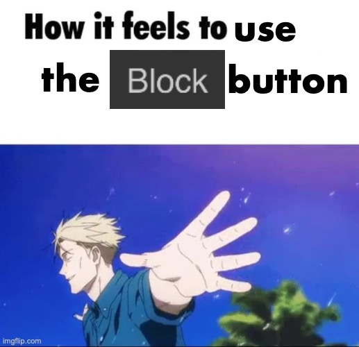 How it feels to use the block button | use the button | image tagged in how it feels to spread misinformation | made w/ Imgflip meme maker