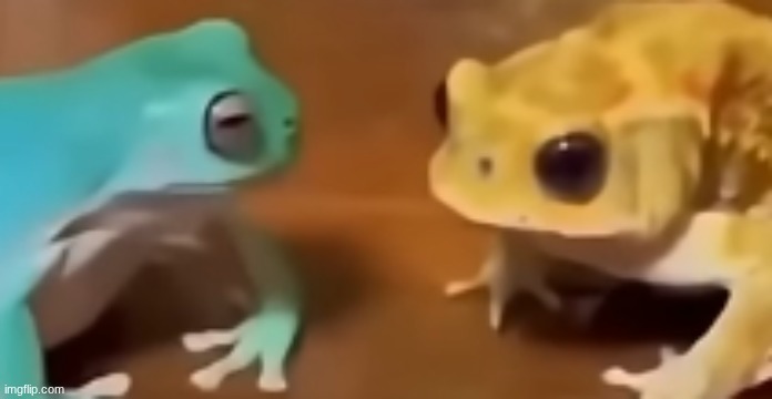 the fuck did you just say | image tagged in the fuck did you just say | made w/ Imgflip meme maker