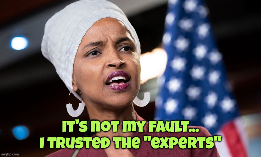 ilhan omar | It's not my fault... I trusted the "experts" | image tagged in ilhan omar | made w/ Imgflip meme maker