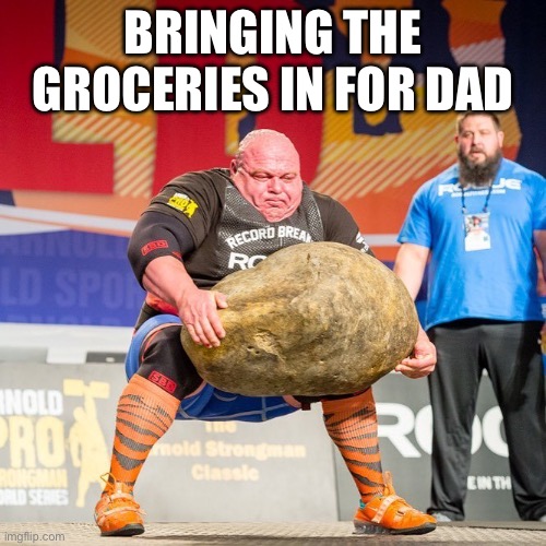 I’m ok | Bringing the groceries in for dad | image tagged in strongman rock,funny memes,fun | made w/ Imgflip meme maker