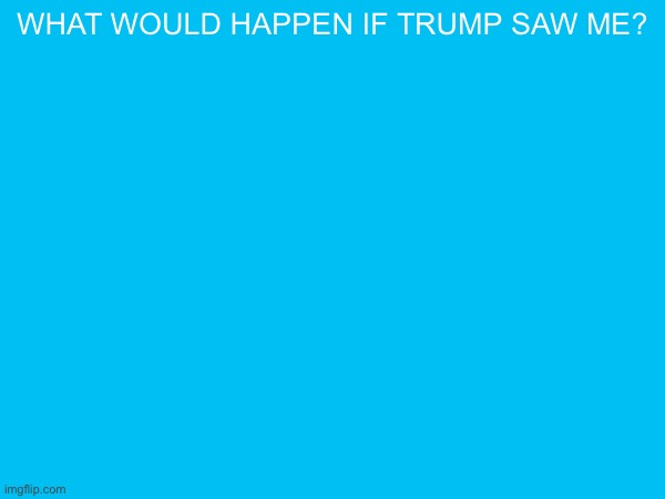 what would happen if trump saw me? | made w/ Imgflip meme maker