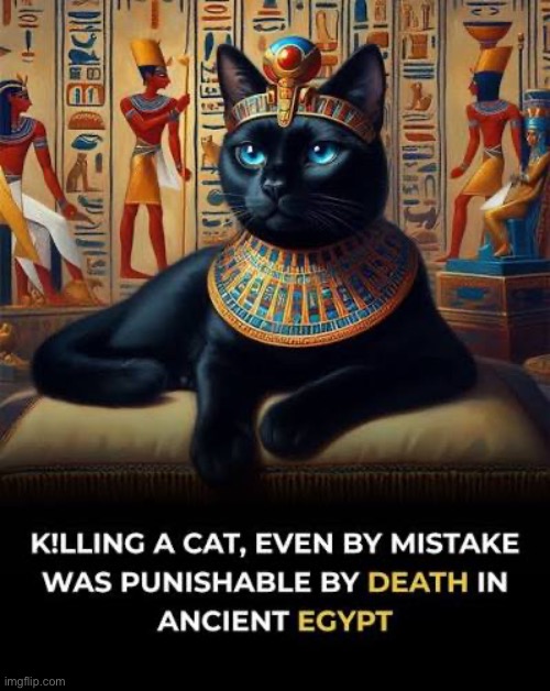 A sacred animal | image tagged in cats,ancient egypt,killing a cat,mistake,death | made w/ Imgflip meme maker