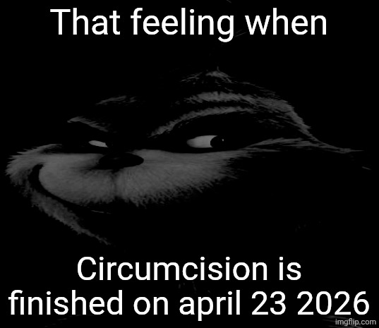 Blue Grinch | That feeling when Circumcision is finished on april 23 2026 | image tagged in stole an idea,how the grinch stole christmas week,knee surgery | made w/ Imgflip meme maker