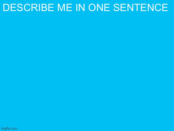 describe me in one sentence | made w/ Imgflip meme maker