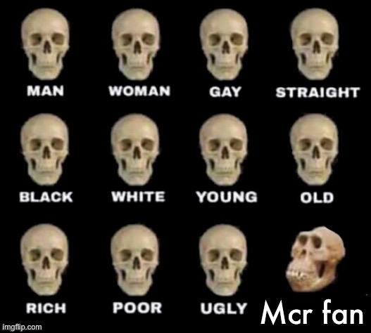 idiot skull | Mcr fan | image tagged in idiot skull | made w/ Imgflip meme maker