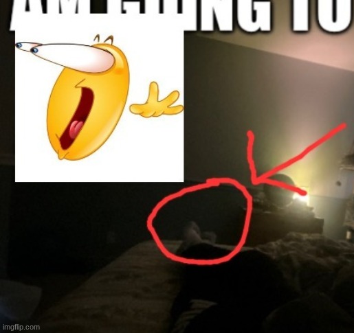 no fucking way I'm in possession of botslayer feet pics now | image tagged in apkezd jpg | made w/ Imgflip meme maker