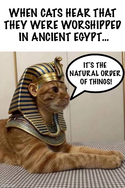 Stay humble, my friend… | It’s the 
Natural order 
Of Things! | image tagged in cats,ancient egypt,pharaoh,worshipped,natural order | made w/ Imgflip meme maker