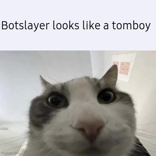 green text cat | Botslayer looks like a tomboy | image tagged in green text cat | made w/ Imgflip meme maker