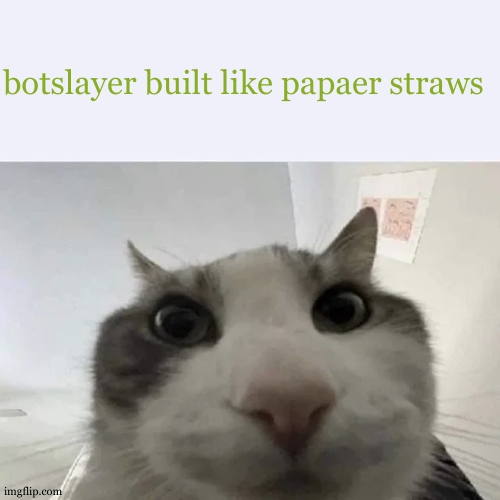 green text cat | botslayer built like papaer straws | image tagged in green text cat | made w/ Imgflip meme maker