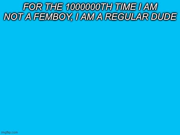 for the 1000000th time i am not a femboy, i am a regular dude | made w/ Imgflip meme maker