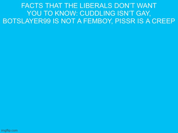 facts that the liberals don’t want you to know: cuddling isn’t gay, botslayer99 is not a femboy, pissr is a creep | made w/ Imgflip meme maker