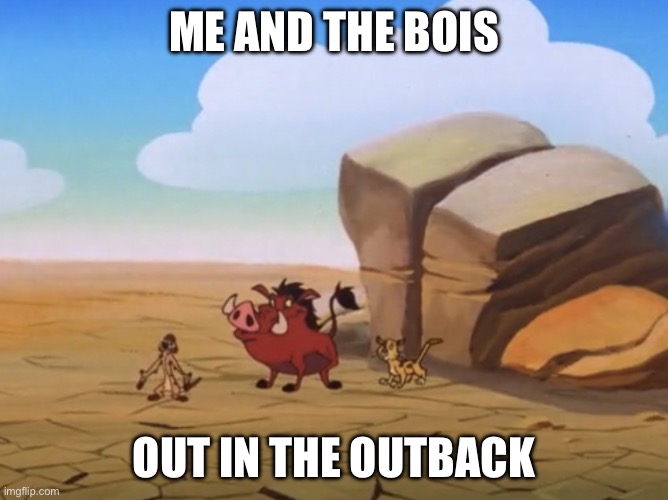 The Australia meme | ME AND THE BOIS; OUT IN THE OUTBACK | image tagged in big empty field,me and the boys,outback,australia,niggas really out here | made w/ Imgflip meme maker