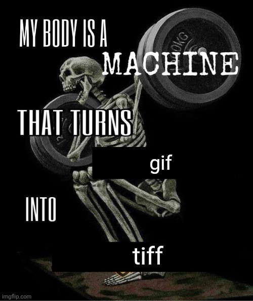 Tiff | gif; tiff | image tagged in my body is machine,gif,tiff | made w/ Imgflip meme maker