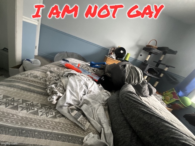 image.jpg | i am not gay | image tagged in image jpg | made w/ Imgflip meme maker