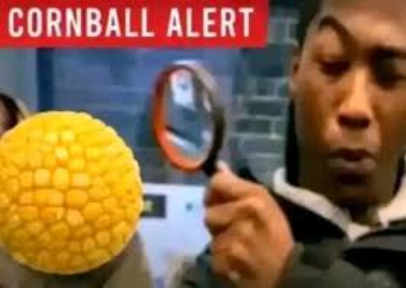Cornball Alert | image tagged in cornball alert | made w/ Imgflip meme maker