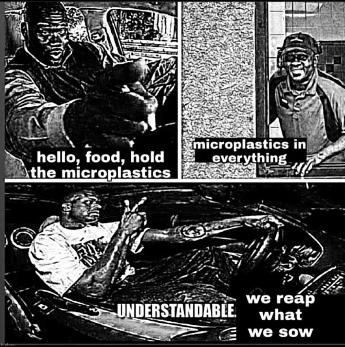 Understandable, We Reap What We Sow | image tagged in understandable we reap what we sow | made w/ Imgflip meme maker