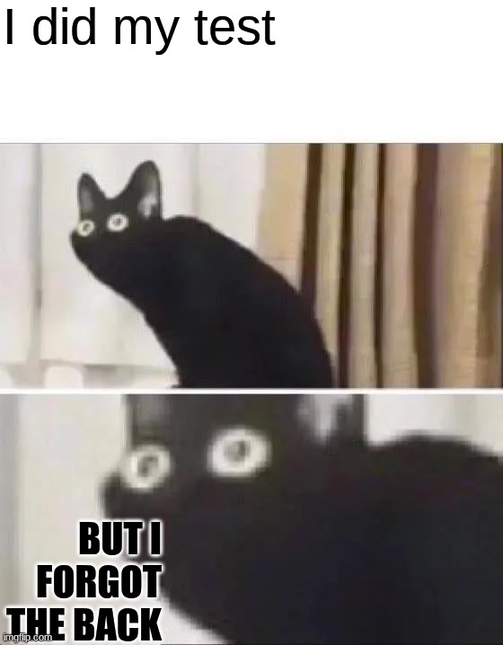 oh nahh | I did my test; But I forgot the back | image tagged in oh no black cat,school,tests,uh oh,oh no,oh wow are you actually reading these tags | made w/ Imgflip meme maker