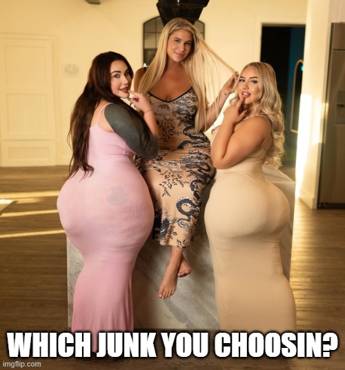 Big Junk | which junk you choosin? | image tagged in booty | made w/ Imgflip meme maker