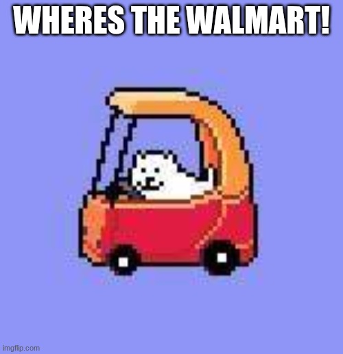 Driving | WHERES THE WALMART! | image tagged in dog in a fischer price car | made w/ Imgflip meme maker