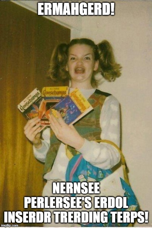 Goosebumps #114: The Haunted Stock Portfolio | ERMAHGERD! NERNSEE PERLERSEE'S ERDOL INSERDR TRERDING TERPS! | image tagged in ermahgerd,insider trading,stock market,stocks,nancy pelosi,goosebumps | made w/ Imgflip meme maker