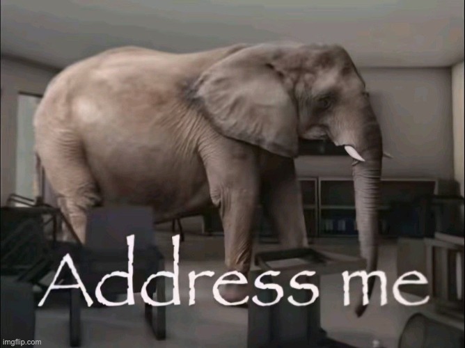 Adress me | image tagged in adress me | made w/ Imgflip meme maker