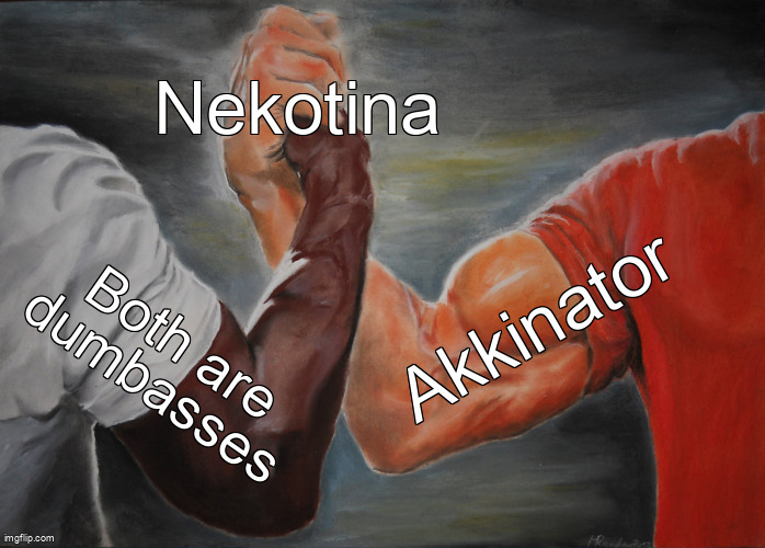 Epic Handshake Meme | Nekotina; Both are dumbasses; Akkinator | image tagged in memes,epic handshake | made w/ Imgflip meme maker