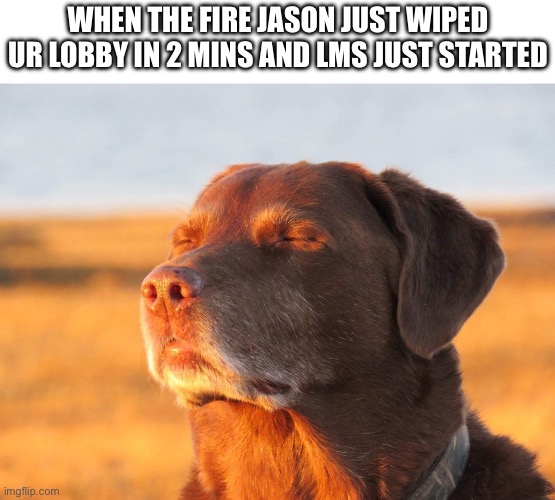 Can I get mod? 
mod:no | When the fire Jason just wiped ur lobby in 2 mins and LMS just started | image tagged in cooked dog,memes | made w/ Imgflip meme maker