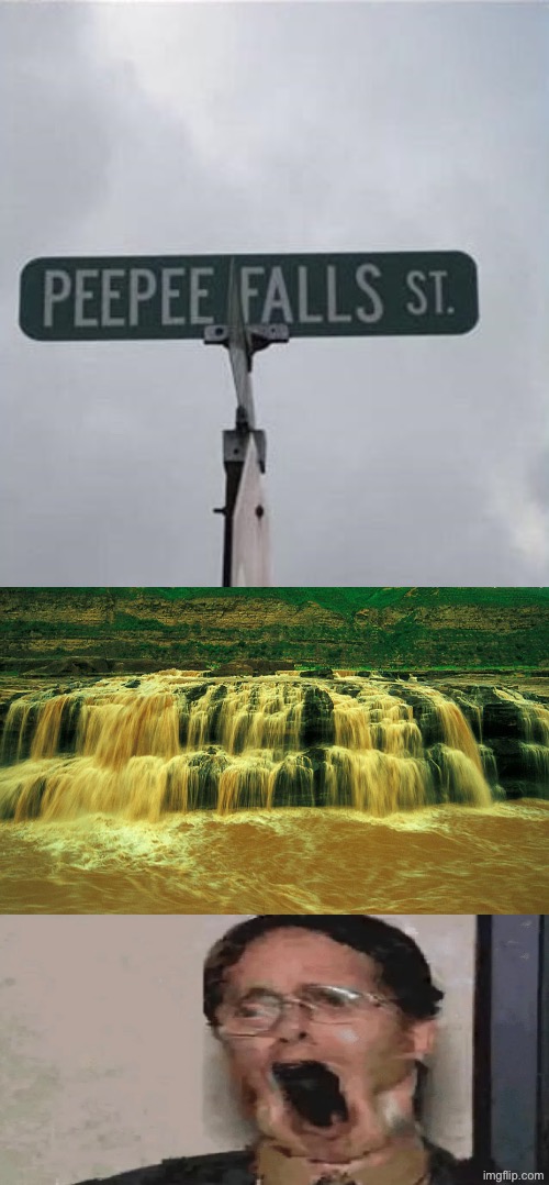 PeePee Falls? | image tagged in img_2664 jpeg,pee,waterfall,dafuq did i just read,funny street signs,urine | made w/ Imgflip meme maker
