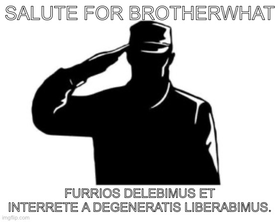 salute  | salute for brotherwhat; Furrios delebimus et interrete a degeneratis liberabimus. | image tagged in salute | made w/ Imgflip meme maker