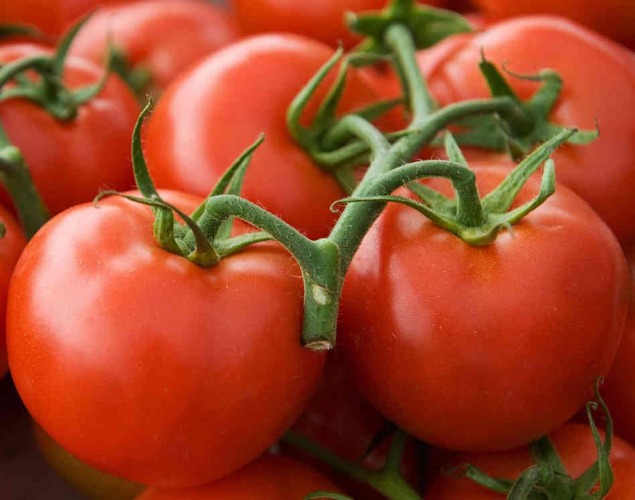 Tomato | image tagged in tomato | made w/ Imgflip meme maker