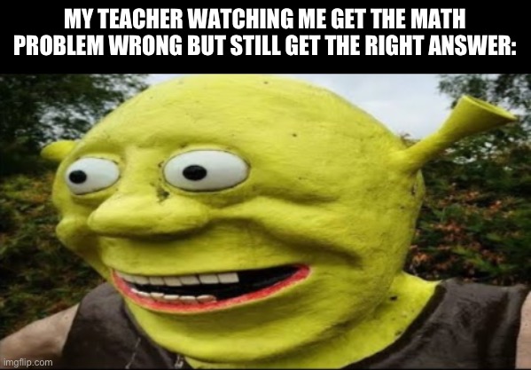 shrek nah bro | My teacher watching me get the math problem wrong but still get the right answer: | image tagged in shrek nah bro | made w/ Imgflip meme maker