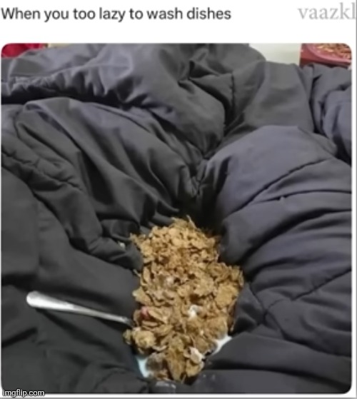 I kinda think I uploaded thos before | image tagged in memes,cereal,weird,blanket,food,wrong | made w/ Imgflip meme maker