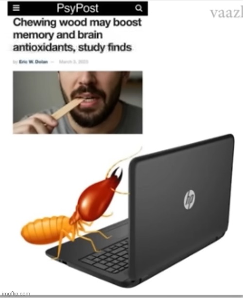 image tagged in wood,chewing,termite,bugs,computer,funny | made w/ Imgflip meme maker