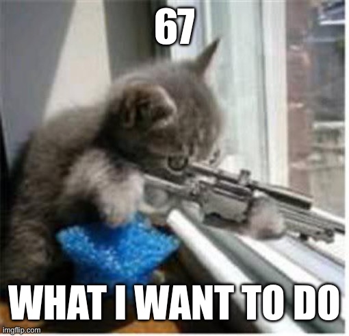 cats with guns | 67; What I want to do | image tagged in cats with guns | made w/ Imgflip meme maker