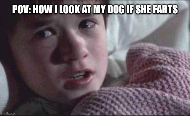 LITTLE DOGGY NOOOOOOOOOOOO!!!!! | POV: How I look at my dog if she farts | image tagged in memes,i see dead people | made w/ Imgflip meme maker