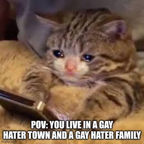 sad me :( | pov: you live in a gay hater town and a gay hater family | made w/ Imgflip meme maker