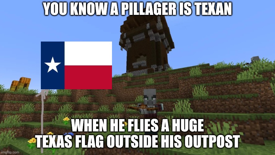 I live in Texas | You know a pillager is texan; When he flies a huge texas flag outside his outpost | image tagged in pillager | made w/ Imgflip meme maker