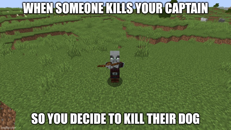 Pillagers | When someone kills your captain; So you decide to kill their dog | image tagged in pillager,memes,minecraft,funny,dogs | made w/ Imgflip meme maker