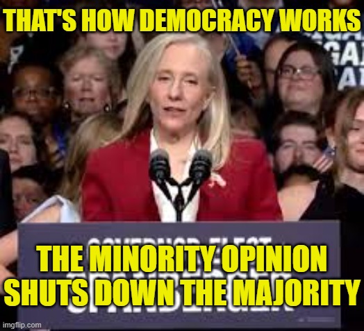 Governor Spermburger Virginia | that's how democracy works the minority opinion shuts down the majority | image tagged in governor spermburger virginia | made w/ Imgflip meme maker