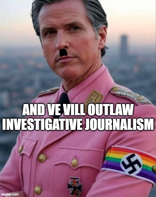 Gavin Newsom Nazi | and ve vill outlaw investigative journalism | image tagged in gavin newsom nazi | made w/ Imgflip meme maker